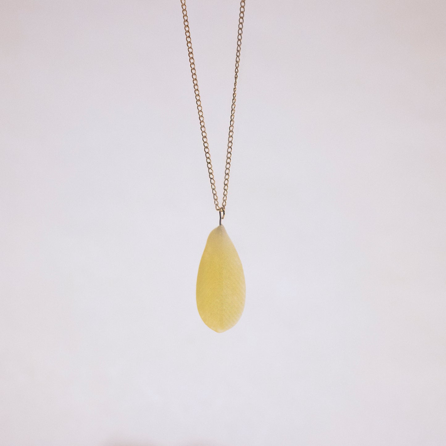 Feather Necklace in Gold