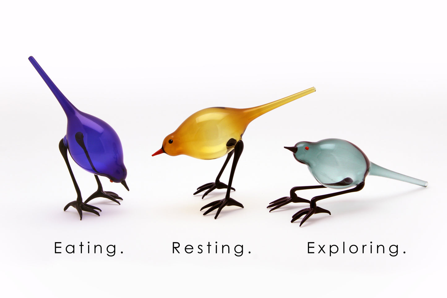 Songbirds