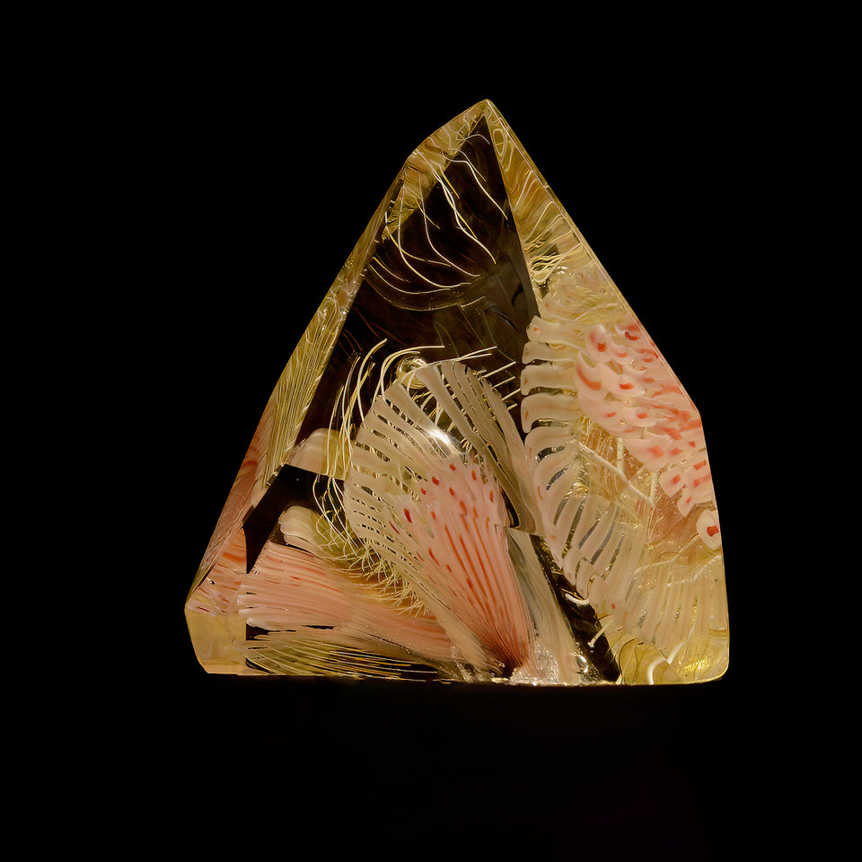Sheared Reef Remnant