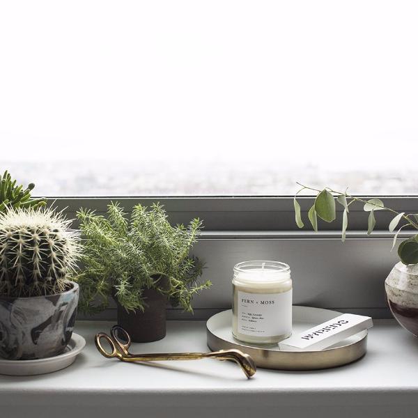 Fern + Moss Soy Wax Candle