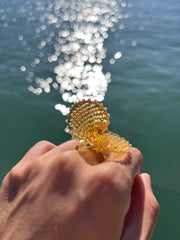 Particles of Freedom "Fly" Ring