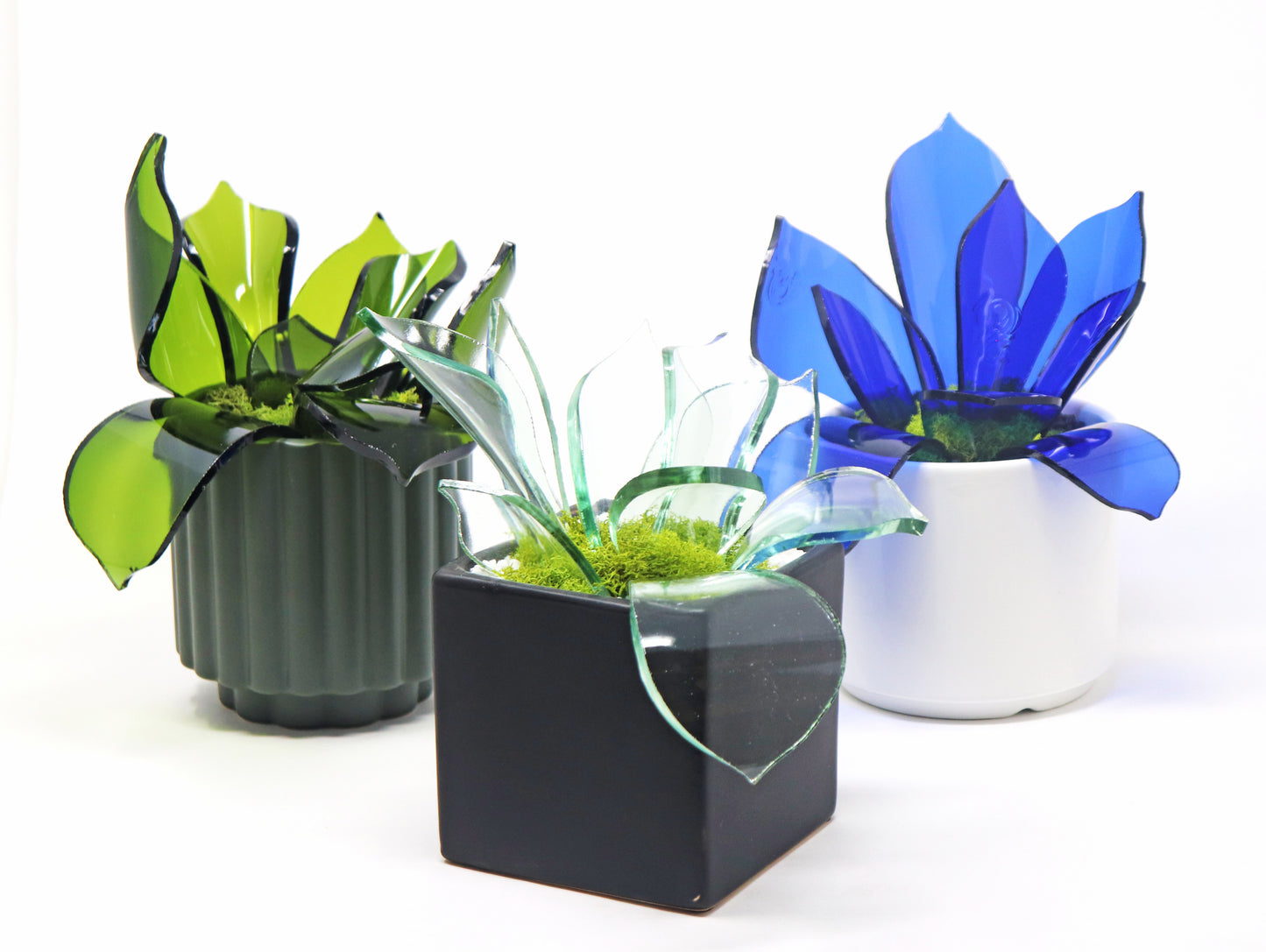 Pinot Planters