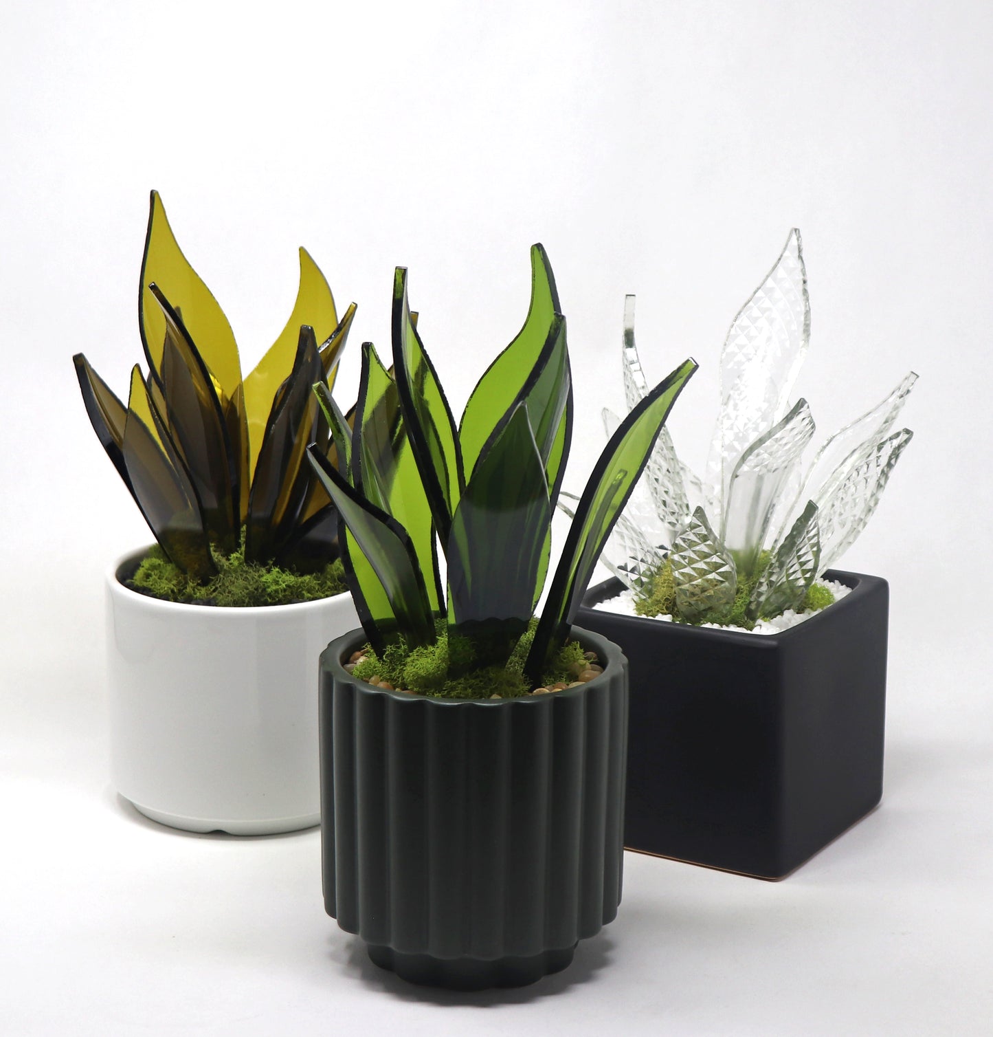 Pinot Planters