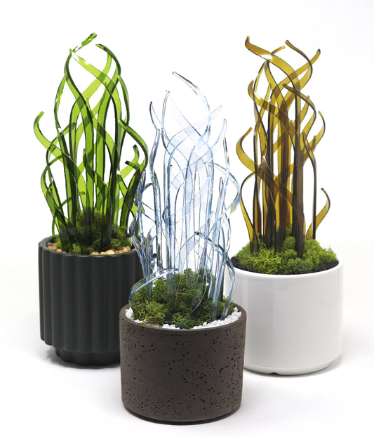 Pinot Planters