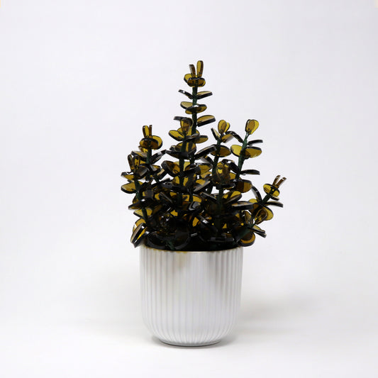 Eucalyptus Planter