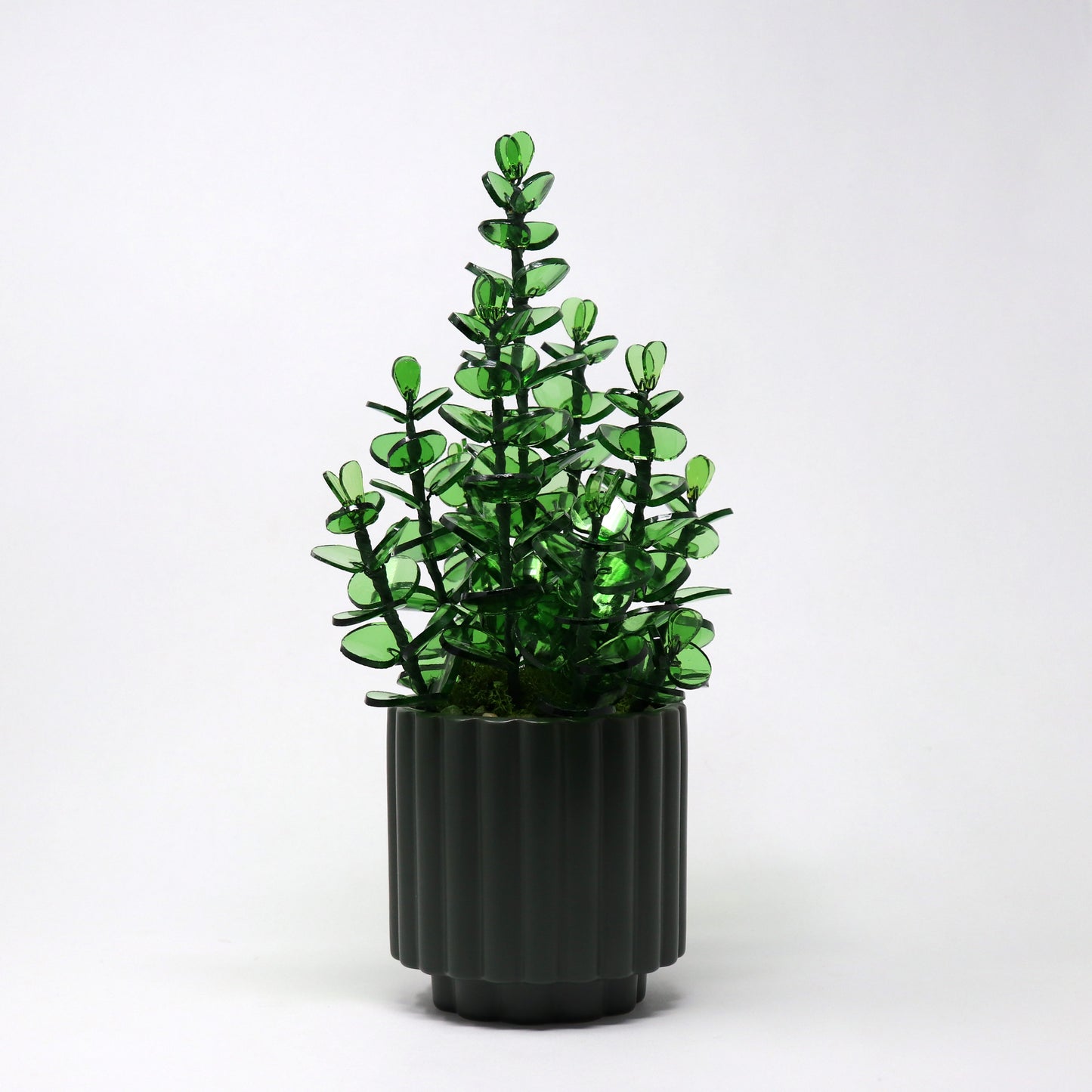 Eucalyptus Planter