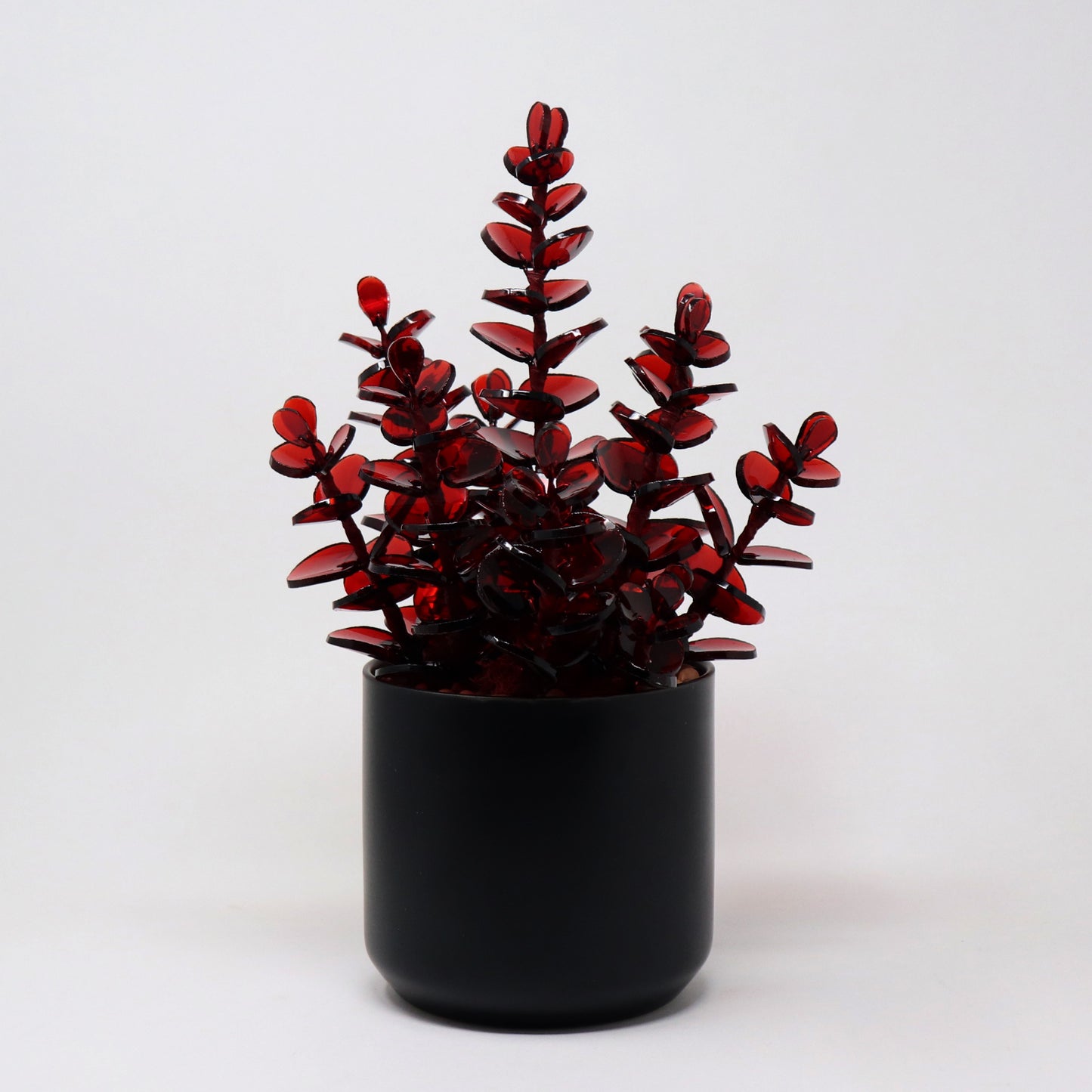 Eucalyptus Planter