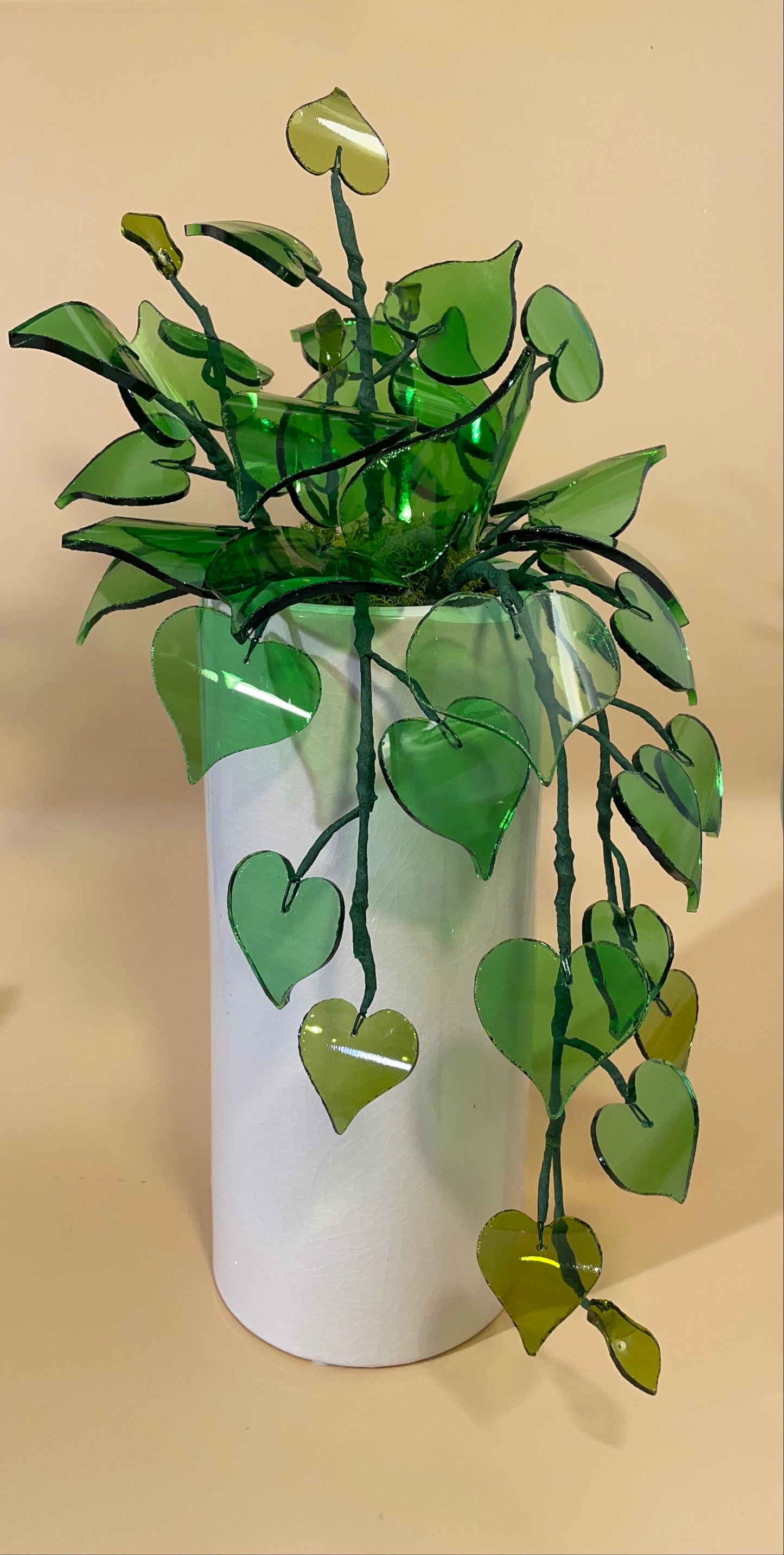 Pinot Pothos